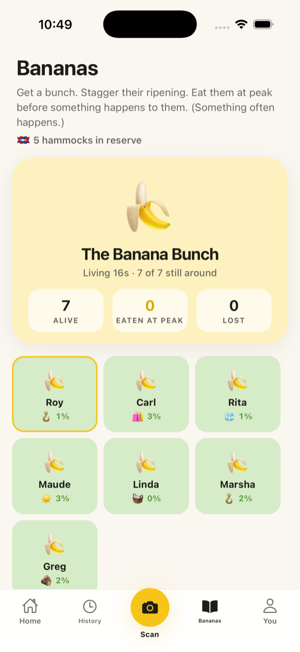 The Banana Bunch screen tracking named bananas and their ripeness
